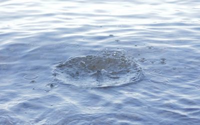 LA REALIDAD ES UN ESPEJO, Por Juan Carlos Gómez