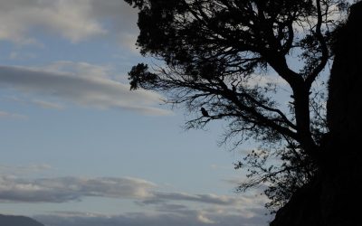 EL HÁBITO NO HACE AL MONJE, Por Juan Carlos Gómez