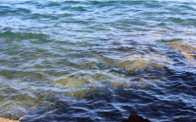 SÉ COMO UN RÍO, Por Juan Carlos Gómez