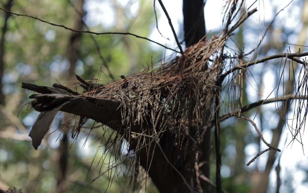 UN RAYO ENTRÓ POR LA VENTANA, Por Juan Carlos Gómez